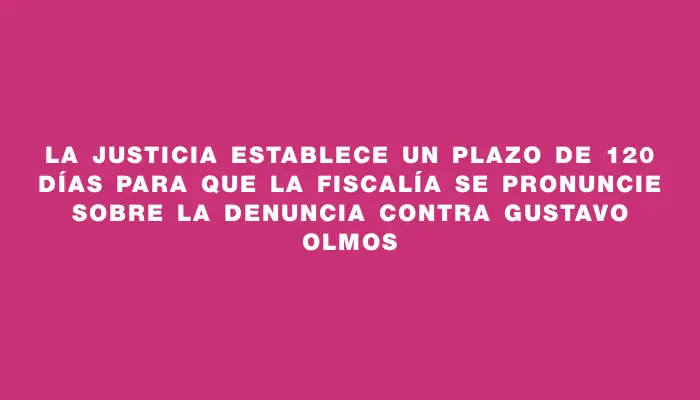 La Justicia establece un plazo de 120 días para que la Fiscalía se pronuncie sobre la denuncia contra Gustavo Olmos