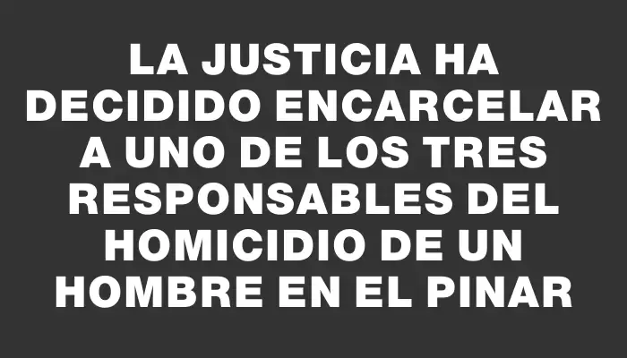 La Justicia ha decidido encarcelar a uno de los tres responsables del homicidio de un hombre en El Pinar