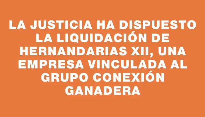 La Justicia ha dispuesto la liquidación de Hernandarias Xii, una empresa vinculada al grupo Conexión Ganadera