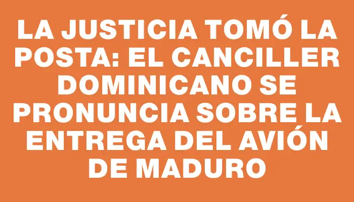 La Justicia tomó la posta: el canciller dominicano se pronuncia sobre la entrega del avión de Maduro