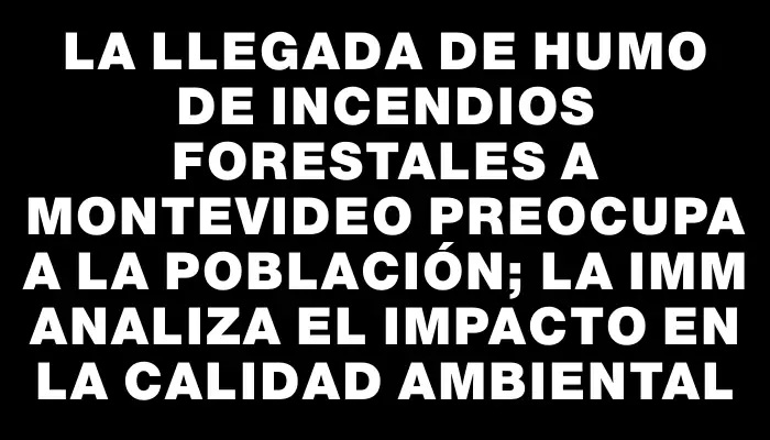 La llegada de humo de incendios forestales a Montevideo preocupa a la población; la Imm analiza el impacto en la calidad ambiental