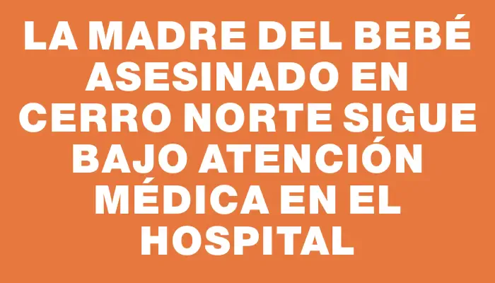 La madre del bebé asesinado en Cerro Norte sigue bajo atención médica en el hospital