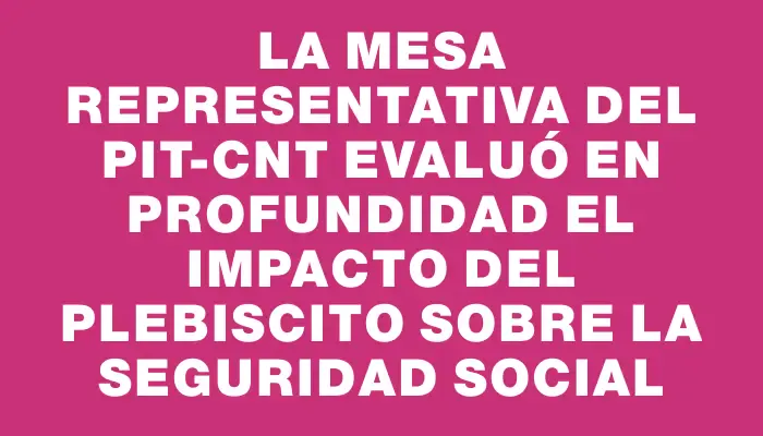 La Mesa Representativa del Pit-cnt evaluó en profundidad el impacto del plebiscito sobre la seguridad social