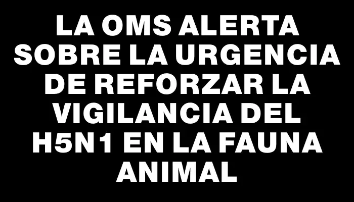 La Oms alerta sobre la urgencia de reforzar la vigilancia del H5n1 en la fauna animal