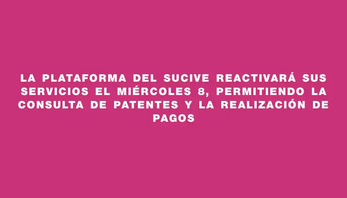 La plataforma del Sucive reactivará sus servicios el miércoles 8, permitiendo la consulta de patentes y la realización de pagos