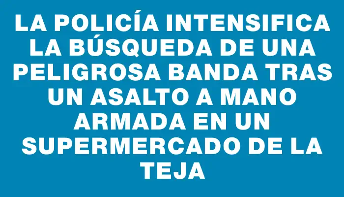 La Policía intensifica la búsqueda de una peligrosa banda tras un asalto a mano armada en un supermercado de La Teja