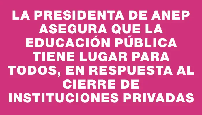 La presidenta de Anep asegura que la educación pública tiene lugar para todos, en respuesta al cierre de instituciones privadas