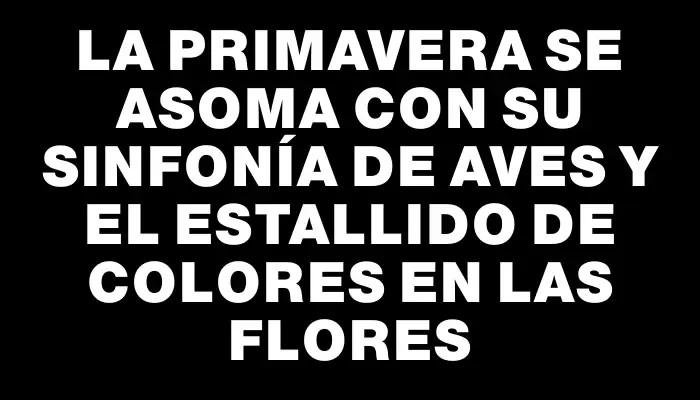 La primavera se asoma con su sinfonía de aves y el estallido de colores en las flores