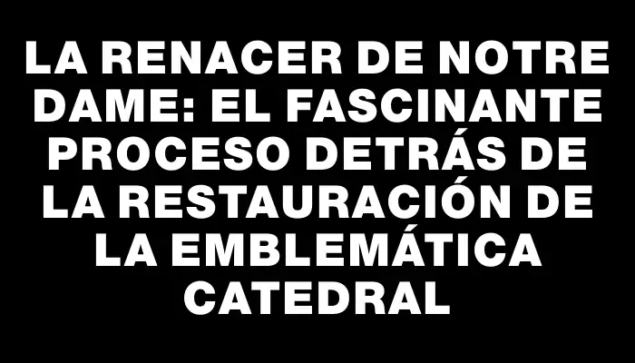 La renacer de Notre Dame: el fascinante proceso detrás de la restauración de la emblemática catedral