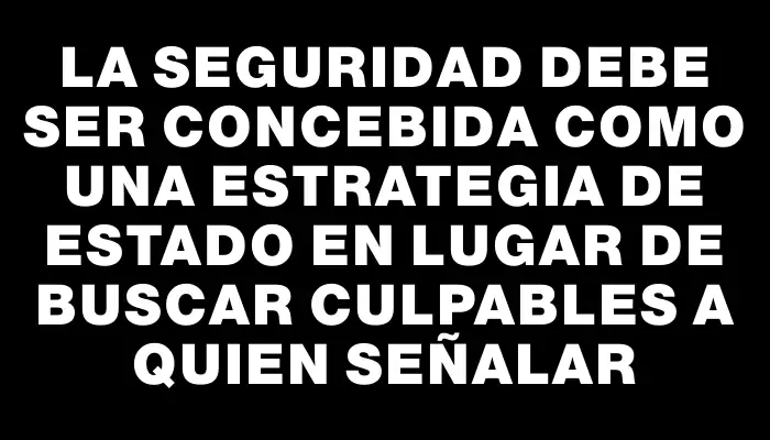 La seguridad debe ser concebida como una estrategia de Estado en lugar de buscar culpables a quien señalar