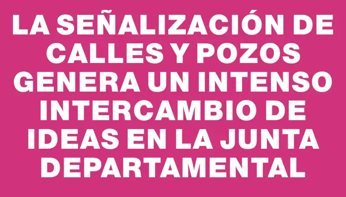 La señalización de calles y pozos genera un intenso intercambio de ideas en la Junta Departamental