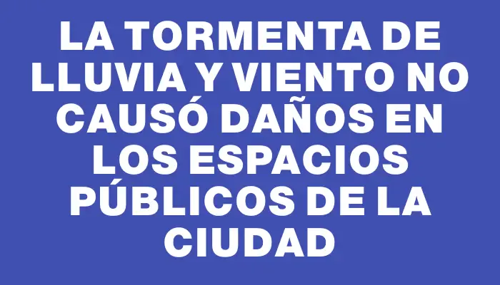 La tormenta de lluvia y viento no causó daños en los espacios públicos de la ciudad