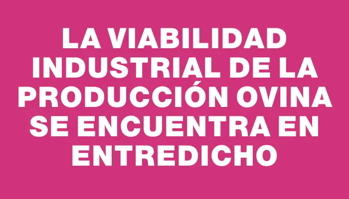 La viabilidad industrial de la producción ovina se encuentra en entredicho