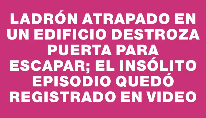 Ladrón atrapado en un edificio destroza puerta para escapar; el insólito episodio quedó registrado en video