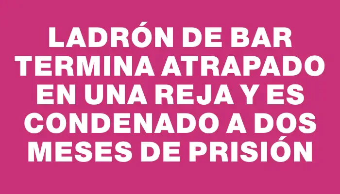 Ladrón de bar termina atrapado en una reja y es condenado a dos meses de prisión