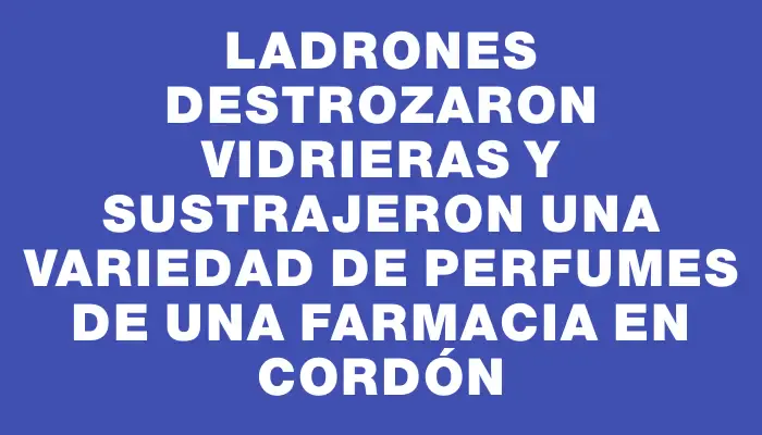 Ladrones destrozaron vidrieras y sustrajeron una variedad de perfumes de una farmacia en Cordón