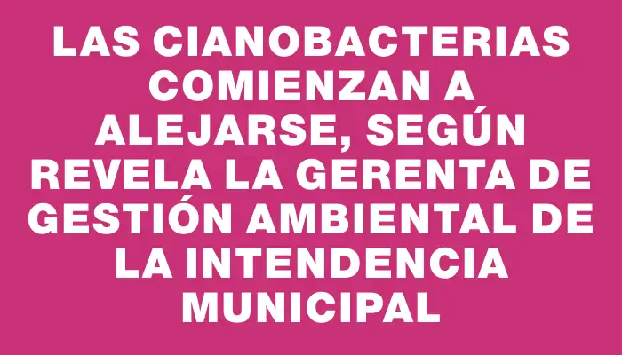 Las cianobacterias comienzan a alejarse, según revela la gerenta de Gestión Ambiental de la Intendencia Municipal