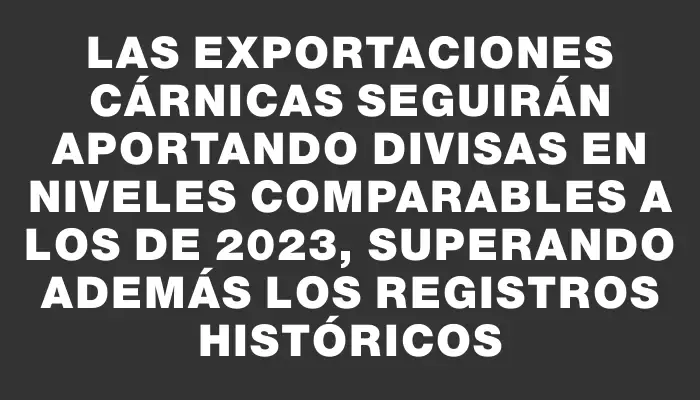 Las exportaciones cárnicas seguirán aportando divisas en niveles comparables a los de 2023, superando además los registros históricos