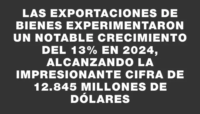 Las exportaciones de bienes experimentaron un notable crecimiento del 13% en 2024, alcanzando la impresionante cifra de 12.845 millones de dólares