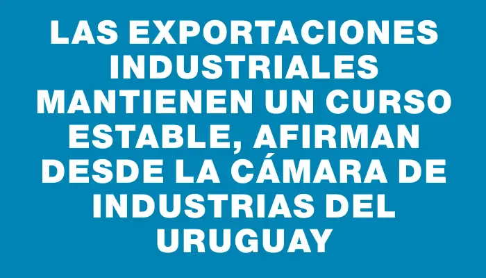 Las exportaciones industriales mantienen un curso estable, afirman desde la Cámara de Industrias del Uruguay