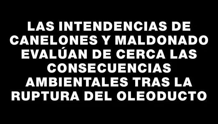 Las Intendencias de Canelones y Maldonado evalúan de cerca las consecuencias ambientales tras la ruptura del oleoducto