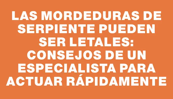 Las mordeduras de serpiente pueden ser letales: Consejos de un especialista para actuar rápidamente