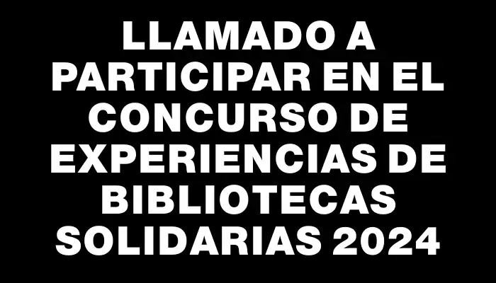 Llamado a participar en el concurso de experiencias de Bibliotecas Solidarias 2024