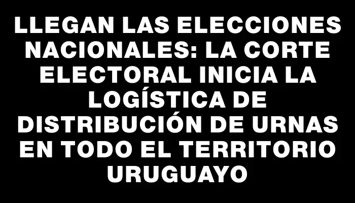 Llegan las elecciones nacionales: La Corte Electoral inicia la logística de distribución de urnas en todo el territorio uruguayo