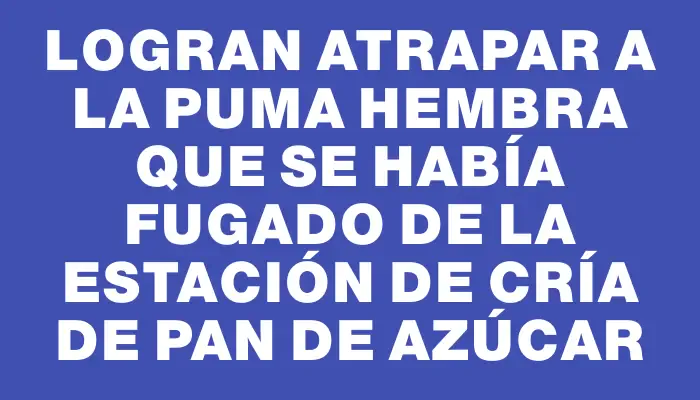 Logran atrapar a la puma hembra que se había fugado de la Estación de Cría de Pan de Azúcar