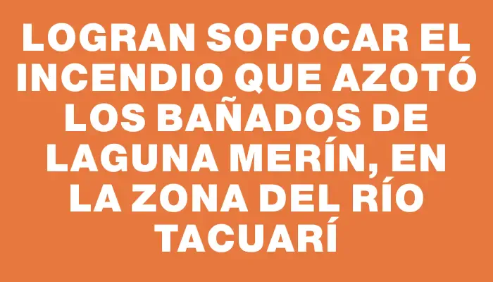 Logran sofocar el incendio que azotó los bañados de Laguna Merín, en la zona del río Tacuarí