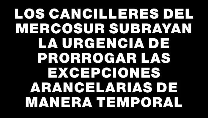 Los cancilleres del Mercosur subrayan la urgencia de prorrogar las excepciones arancelarias de manera temporal