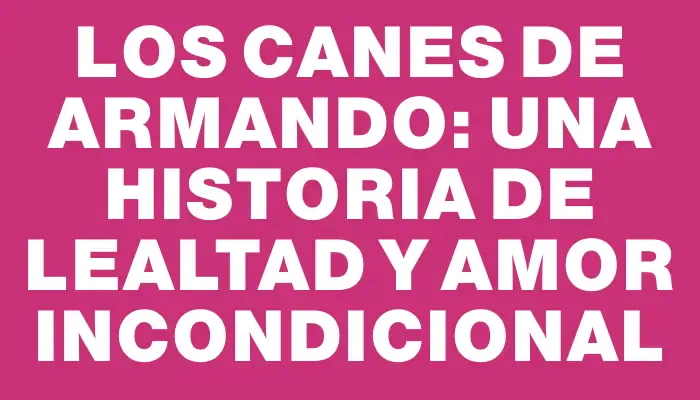 Los canes de Armando: una historia de lealtad y amor incondicional