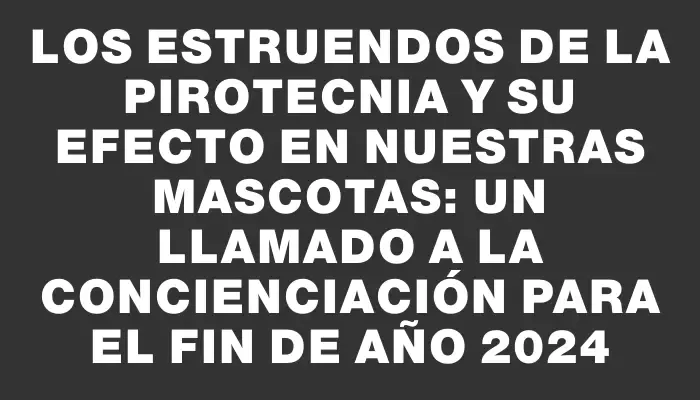 Los estruendos de la pirotecnia y su efecto en nuestras mascotas: Un llamado a la concienciación para el fin de año 2024