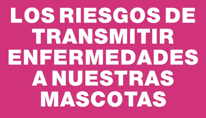 Los riesgos de transmitir enfermedades a nuestras mascotas
