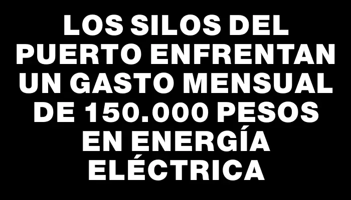 Los silos del puerto enfrentan un gasto mensual de 150.000 pesos en energía eléctrica