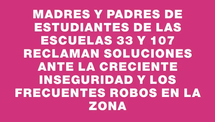 Madres y padres de estudiantes de las escuelas 33 y 107 reclaman soluciones ante la creciente inseguridad y los frecuentes robos en la zona