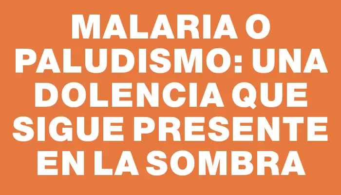 Malaria o paludismo: Una dolencia que sigue presente en la sombra