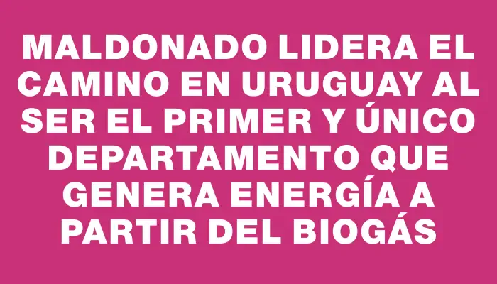 Maldonado lidera el camino en Uruguay al ser el primer y único departamento que genera energía a partir del biogás