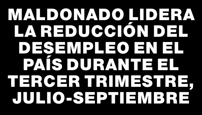 Maldonado lidera la reducción del desempleo en el país durante el tercer trimestre, julio-septiembre