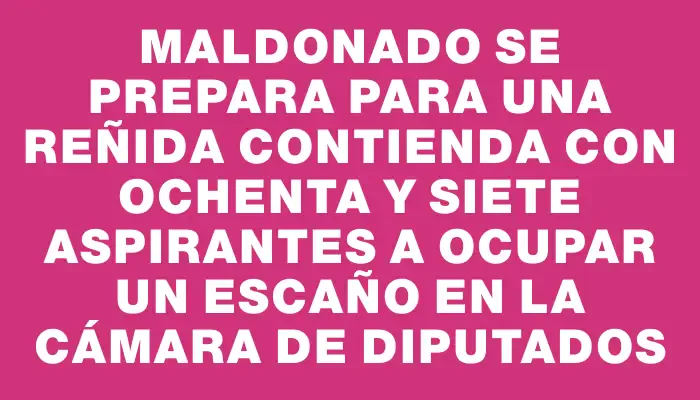 Maldonado se prepara para una reñida contienda con ochenta y siete aspirantes a ocupar un escaño en la cámara de diputados