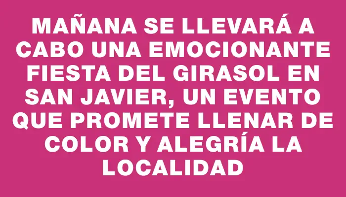 Mañana se llevará a cabo una emocionante Fiesta del Girasol en San Javier, un evento que promete llenar de color y alegría la localidad