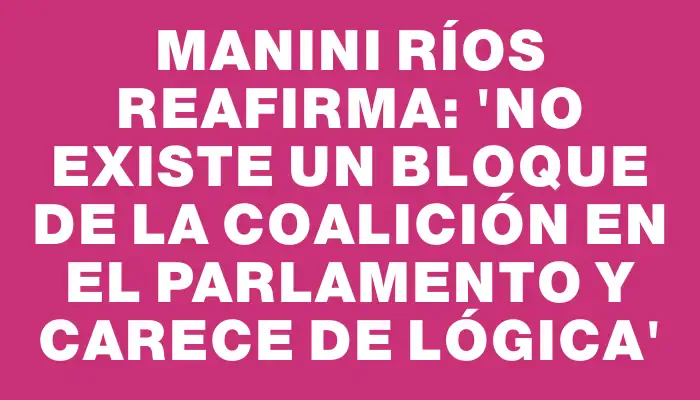 Manini Ríos reafirma: 'No existe un bloque de la coalición en el Parlamento y carece de lógica'