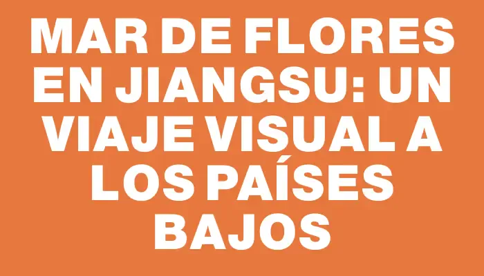 Mar de Flores en Jiangsu: Un Viaje Visual a los Países Bajos
