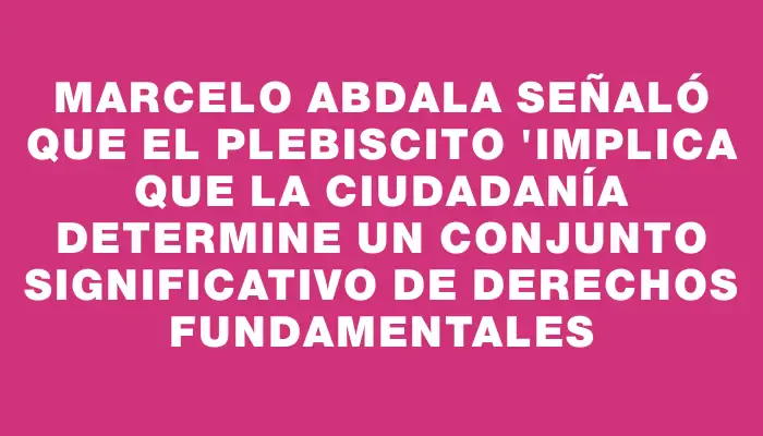 Marcelo Abdala señaló que el plebiscito "implica que la ciudadanía determine un conjunto significativo de derechos fundamentales