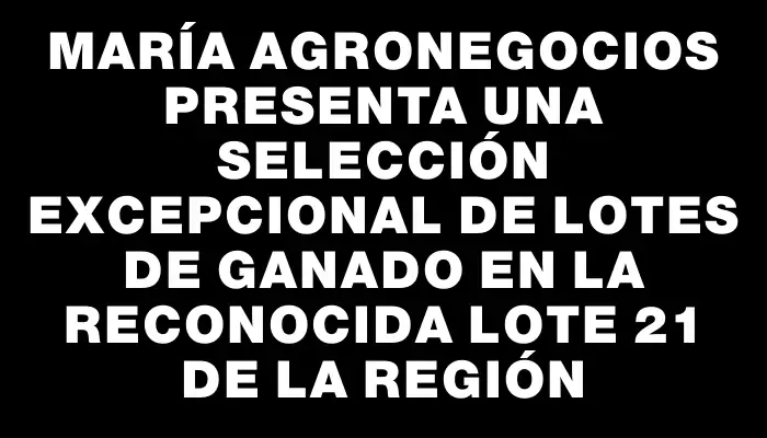 María Agronegocios presenta una selección excepcional de lotes de ganado en la reconocida Lote 21 de la región