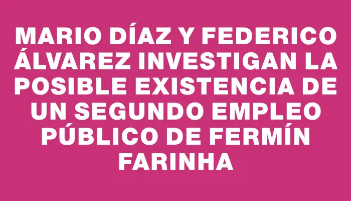 Mario Díaz y Federico Álvarez investigan la posible existencia de un segundo empleo público de Fermín Farinha