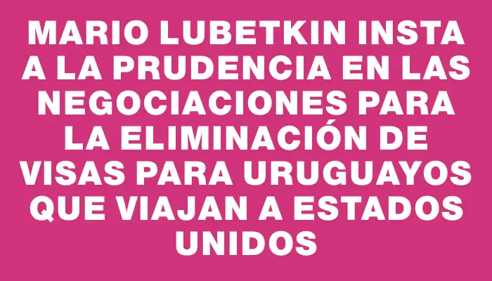 Mario Lubetkin insta a la prudencia en las negociaciones para la eliminación de visas para uruguayos que viajan a Estados Unidos