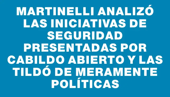 Martinelli analizó las iniciativas de seguridad presentadas por Cabildo Abierto y las tildó de meramente políticas