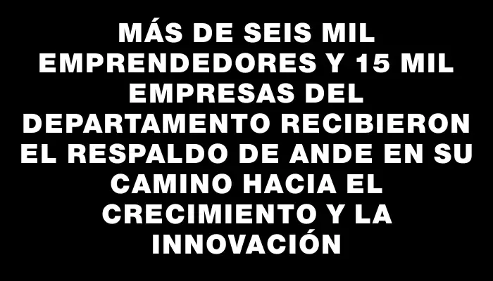 Más de seis mil emprendedores y 15 mil empresas del departamento recibieron el respaldo de Ande en su camino hacia el crecimiento y la innovación