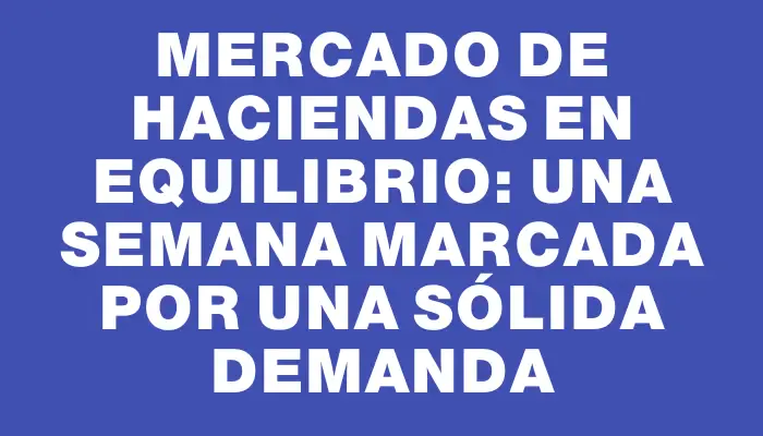 Mercado de haciendas en equilibrio: una semana marcada por una sólida demanda